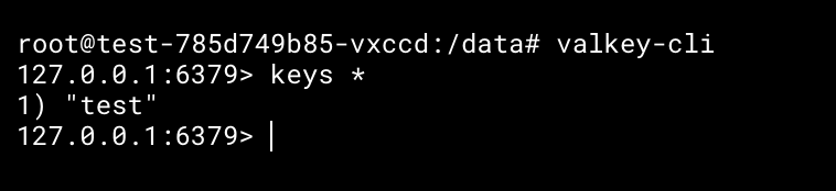 Using valkey-cli to manage internal state